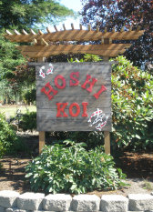 Hoshi Koi Sign